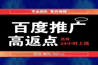 SEO与SEM优化案例：打造行业领先品牌